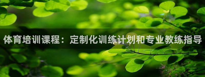 极悦娱乐公司最新招聘信息网：体育培训课程：定制化训练