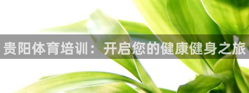 极悦平台官网登录网址查询：贵阳体育培训：开启您的健康