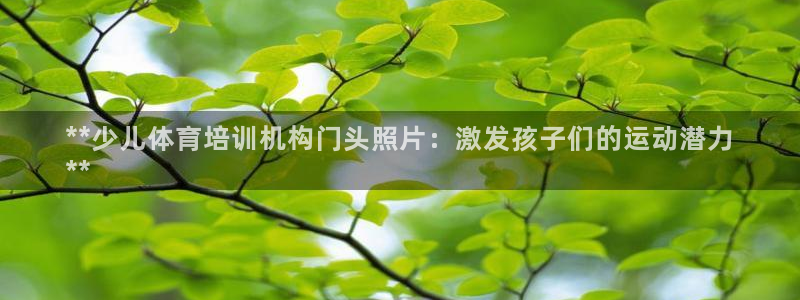 极悦娱乐德711.112扣费说明：**少儿体育培训机