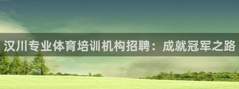 极悦平台的注册流程及注意事项有哪些：汉川专业体育培训