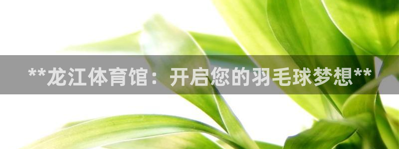 极悦平台注册和登录页面一样吗：**龙江体育馆：开启您